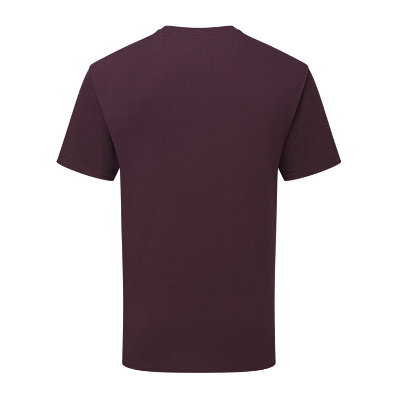 Pure Cotton T 
