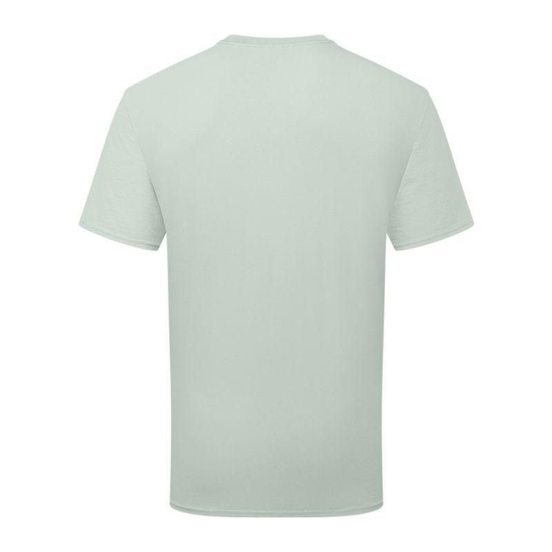Pure Cotton T 