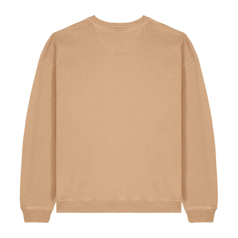 Radder 2.0 Vintage oversized sweatshirt