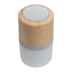 Bluetooth reproduktor Haarlem