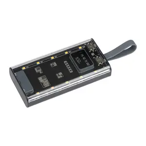 Powerbank Darwin 10 000 mAh