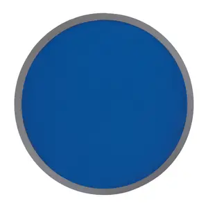 Foldable frisbee with a polyester case